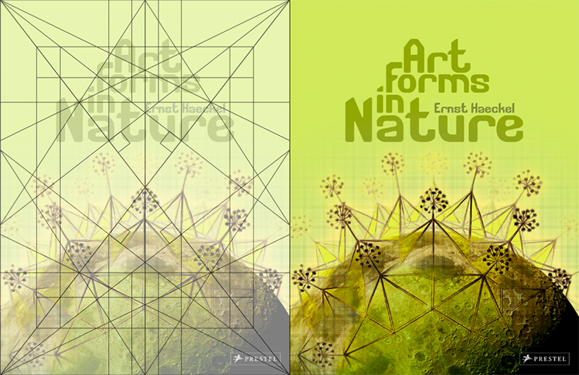 Artforms in Nature: Book Cover